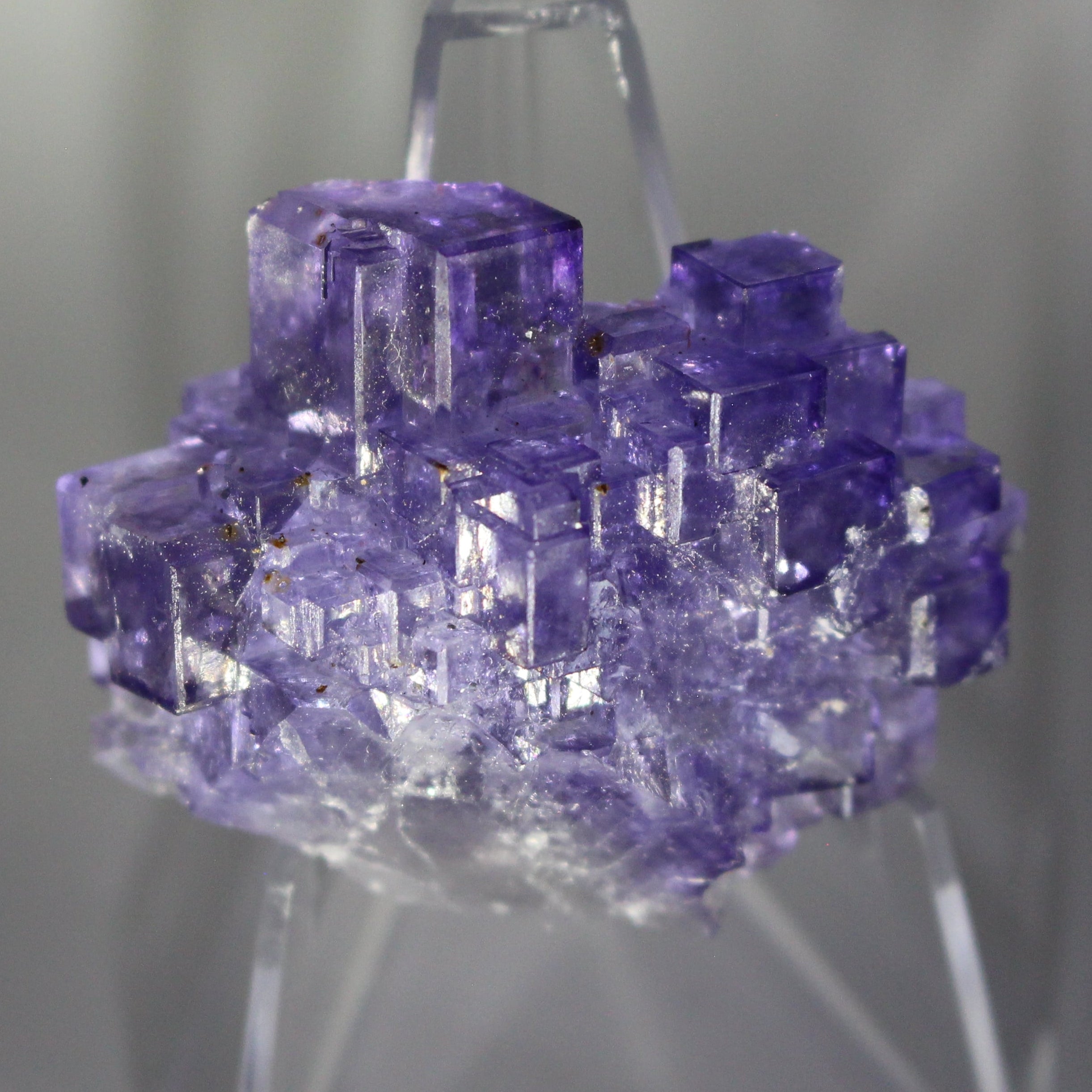 Purple Fluorite
